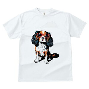 LoA TVc  j[NfUCY LbY t@  t vg JWA 킢 lԗp Mtg I Kl LoA _ 