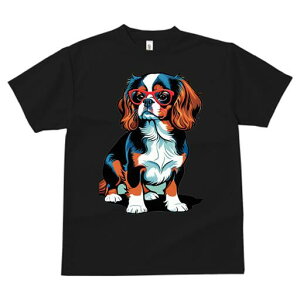 LoA TVc  j[NfUCfB[X t@  t vg JWA 킢 lԗp Mtg I Kl LoA 킢  