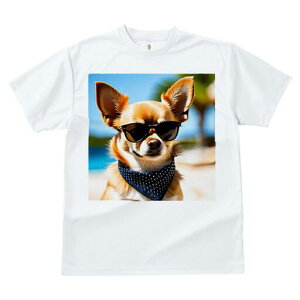 ` TVc  j[NfUCfB[X t@  t vg JWA 킢 lԗp Mtg I TOX ` o_i r[`