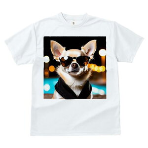 ` TVc  j[NfUCfB[X t@  t vg JWA 킢 lԗp Mtg I TOX `  i {P