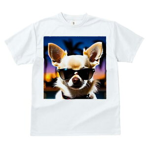 ` TVc  j[NfUCfB[X t@  t vg JWA 킢 lԗp Mtg I TOX `  ][g oP[V