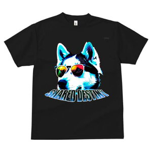 nXL[ TVc  j[NfUCfB[X t@  t vg JWA 킢 lԗp Mtg I TOX nXL[