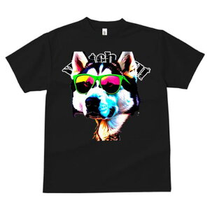 VxAnXL[ TVc  j[NfUCfB[X t@  t vg JWA 킢 lԗp Mtg I TOX VxAnXL[