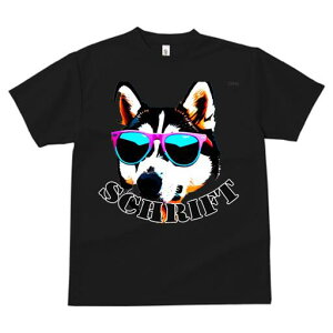 VxAnXL[ TVc  j[NfUCfB[X t@  t vg JWA 킢 lԗp Mtg I TOX VxAnXL[