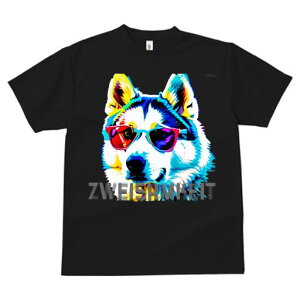 nXL[ TVc  j[NfUCfB[X t@  t vg JWA 킢 lԗp Mtg I TOX nXL[