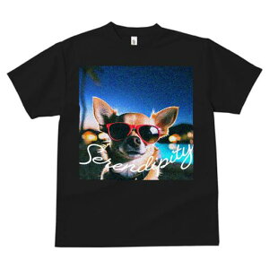 ` TVc  j[NfUCfB[X t@  t vg JWA 킢 lԗp Mtg I TOX `