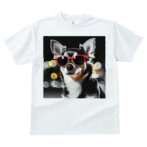 ` TVc  j[NfUCfB[X t@  t vg JWA 킢 lԗp Mtg I TOX `