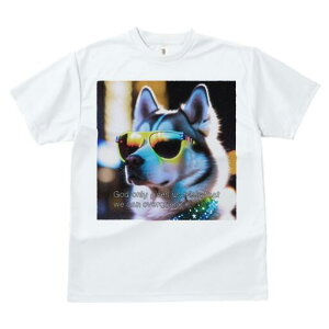 VxAnXL[ TVc  j[NfUCfB[X t@  t vg JWA 킢 lԗp Mtg I TOX VxAnXL[