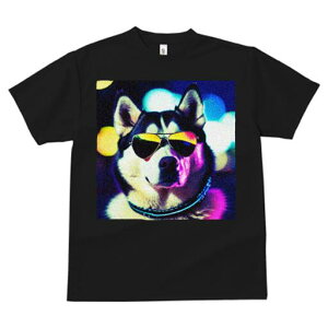 VxAnXL[ TVc  j[NfUCfB[X t@  t vg JWA 킢 lԗp Mtg I TOX VxAnXL[  Cg