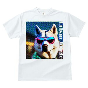 VxAnXL[ TVc  j[NfUCfB[X t@  t vg JWA 킢 lԗp Mtg I TOX VxAnXL[