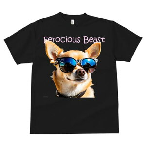 ` TVc  j[NfUCfB[X t@  t vg JWA 킢 lԗp Mtg I TOX `