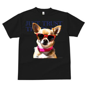 ` TVc  j[NfUCfB[X t@  t vg JWA 킢 lԗp Mtg I TOX `