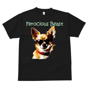 ` TVc  j[NfUCfB[X t@  t vg JWA 킢 lԗp Mtg I TOX ` 