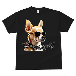 ` TVc  j[NfUCfB[X t@  t vg JWA 킢 lԗp Mtg I TOX `