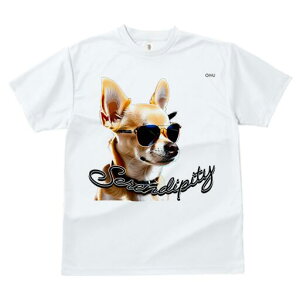 ` TVc  j[NfUCfB[X t@  t vg JWA 킢 lԗp Mtg I TOX `