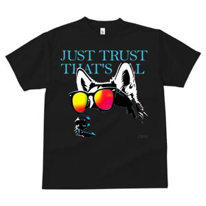 TVc  j[NfUCfB[X t@  t vg JWA 킢 lԗp Mtg I TOX