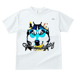 VxAnXL[ TVc  j[NfUCfB[X t@  t vg JWA 킢 lԗp Mtg I Kl VxAnXL[