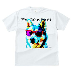 VxAnXL[ TVc  j[NfUCfB[X t@  t vg JWA 킢 lԗp Mtg I TOX VxAnXL[