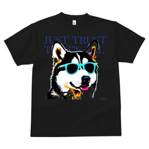 VxAnXL[ TVc  j[NfUCfB[X t@  t vg JWA 킢 lԗp Mtg I TOX VxAnXL[