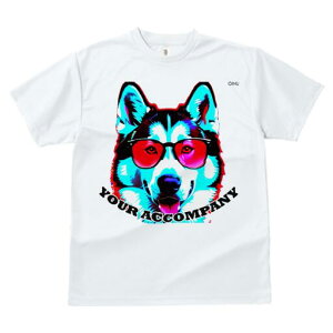 VxAnXL[ TVc  j[NfUCfB[X t@  t vg JWA 킢 lԗp Mtg I TOX VxAnXL[