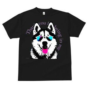 VxAnXL[ TVc  j[NfUCfB[X t@  t vg JWA 킢 lԗp Mtg I TOX VxAnXL[