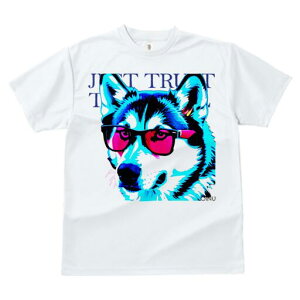 nXL[ TVc  j[NfUCfB[X t@  t vg JWA 킢 lԗp Mtg I TOX nXL[