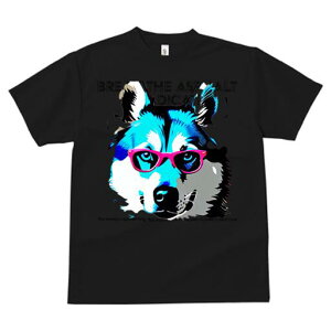 VxAnXL[ TVc  j[NfUCfB[X t@  t vg JWA 킢 lԗp Mtg I Kl VxAnXL[