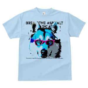 VxAnXL[ TVc  j[NfUCY LbY t@  t vg JWA 킢 lԗp Mtg I Kl VxAnXL[