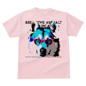 VxAnXL[ TVc  j[NfUCY LbY t@  t vg JWA 킢 lԗp Mtg I Kl VxAnXL[