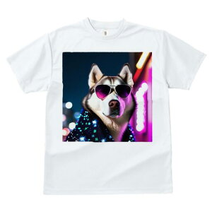 VxAnXL[ TVc  j[NfUCfB[X t@  t vg JWA 킢 lԗp Mtg I TOX VxAnXL[ WPbg lI