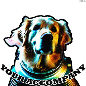 �F���� �S�[���f�����g���o�[ �N�b�V�����J�o�[ 45×45cm �A�j�}���� ������� ���� �N�b�V�����{�̕t�� �����`