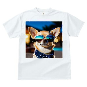 ` TVc  j[NfUCfB[X t@  t vg JWA 킢 lԗp Mtg I TOX ` o_i