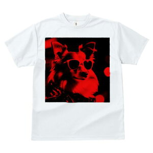 VFbghV[vhbO TVc  j[NfUCfB[X t@  t vg JWA 킢 lԗp Mtg I TOX VFbghV[vhbO N