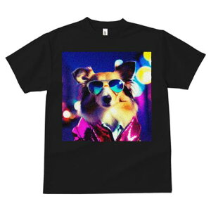 VFbghV[vhbO TVc  j[NfUCfB[X t@  t vg JWA 킢 lԗp Mtg I TOX VFbghV[vhbO W