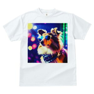 VFbghV[vhbO TVc  j[NfUCfB[X t@  t vg JWA 킢 lԗp Mtg I TOX VFbghV[vhbO f