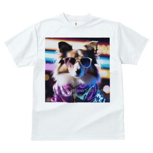 VFbghV[vhbO TVc  j[NfUCfB[X t@  t vg JWA 킢 lԗp Mtg I TOX VFbghV[vhbO W