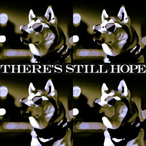 TOX Č  NbVJo[ 45×45cm Aj}   NbV{̕t `