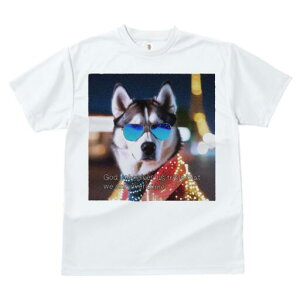 VxAnXL[ TVc  j[NfUCfB[X t@  t vg JWA 킢 lԗp Mtg I TOX VxAnXL[ Cg i