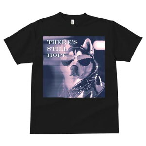 VxAnXL[ TVc  j[NfUCfB[X t@  t vg JWA 킢 lԗp Mtg I TOX VxAnXL[ LL