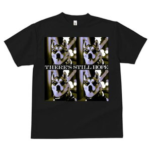 VxAnXL[ TVc  j[NfUCfB[X t@  t vg JWA 킢 lԗp Mtg I TOX VxAnXL[ lbNX