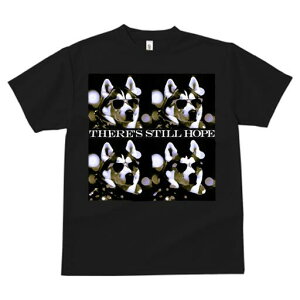 VxAnXL[ TVc  j[NfUCfB[X t@  t vg JWA 킢 lԗp Mtg I TOX VxAnXL[