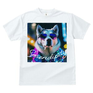 AL^ TVc  j[NfUCfB[X t@  t vg JWA 킢 lԗp Mtg I TOX AL^ lI