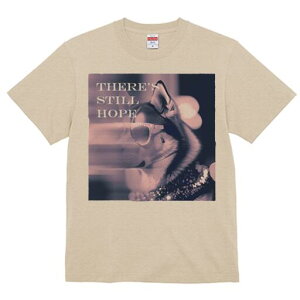 VxAnXL[ TVc  j[NfUCY LbY t@  t vg JWA 킢 lԗp Mtg I Kl VxAnXL[ LL