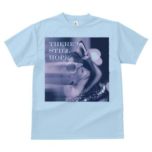 VxAnXL[ TVc  j[NfUCY LbY t@  t vg JWA 킢 lԗp Mtg I Kl VxAnXL[ LL