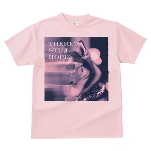 VxAnXL[ TVc  j[NfUCY LbY t@  t vg JWA 킢 lԗp Mtg I Kl VxAnXL[ LL