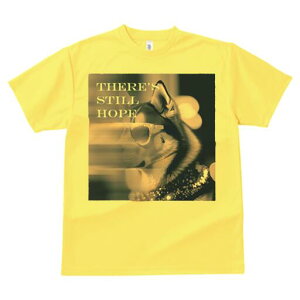 VxAnXL[ TVc  j[NfUCY LbY t@  t vg JWA 킢 lԗp Mtg I Kl VxAnXL[ LL