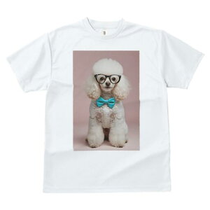 v[h TVc  j[NfUCfB[X t@  t vg JWA 킢 lԗp Mtg I lN^C v[h ዾ