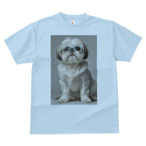 V[Y[ TVc  j[NfUCY LbY t@  t vg JWA 킢 lԗp Mtg I Kl V[Y[