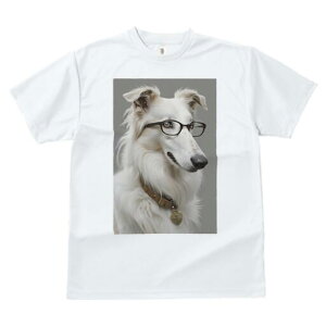 {]C TVc  j[NfUCfB[X t@  t vg JWA 킢 lԗp Mtg I Kl {]C  n[g