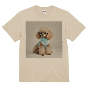 gCv[h TVc  j[NfUCY LbY t@  t vg JWA 킢 lԗp Mtg I Kl gCv[h 